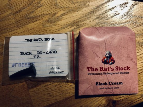 Black Cream