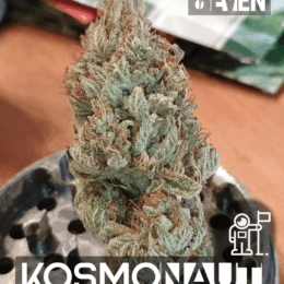 Kosmonaut