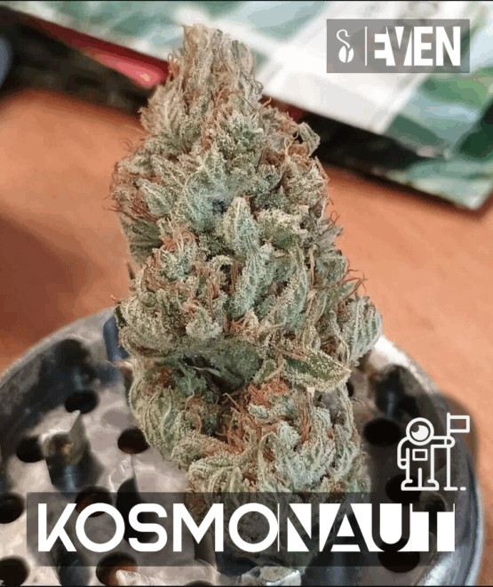 Kosmonaut